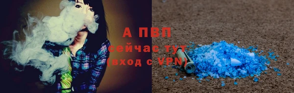 индика Грязовец