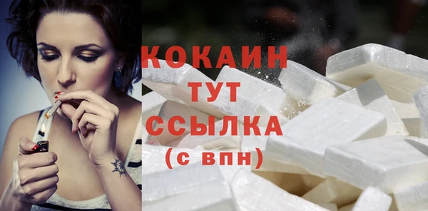 шишки Переславль-Залесский