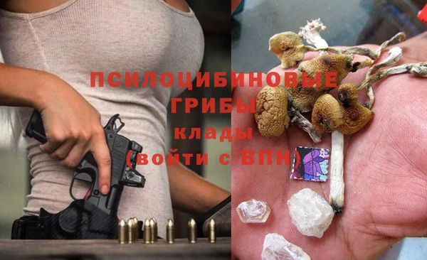 PSILOCYBIN Остров