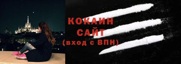 шишки Переславль-Залесский