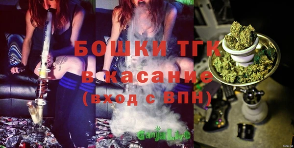 шишки Переславль-Залесский