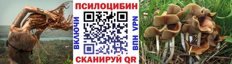 Галлюциногенные грибы MAGIC MUSHROOMS  Почеп 